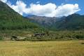 Všude dealer! - střípky z léta 2008 - Bhutan